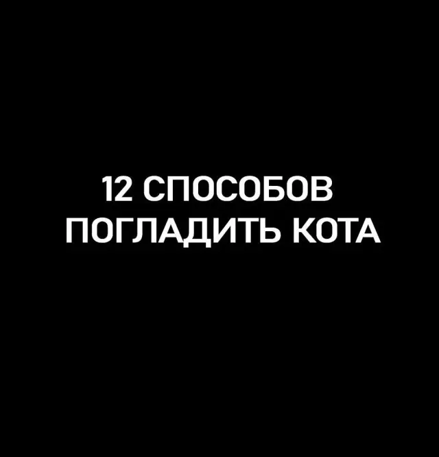 Инструкция: 12 способов погладить кота