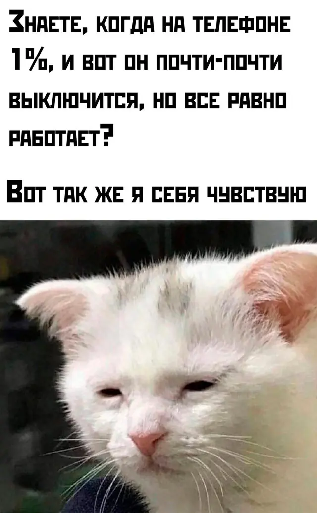 Подборка картинок 14.04.2025