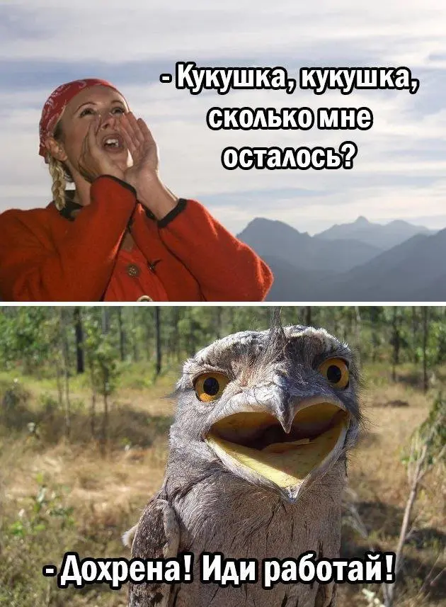 Лучшие шутки и мемы из Сети - 22.04.2025