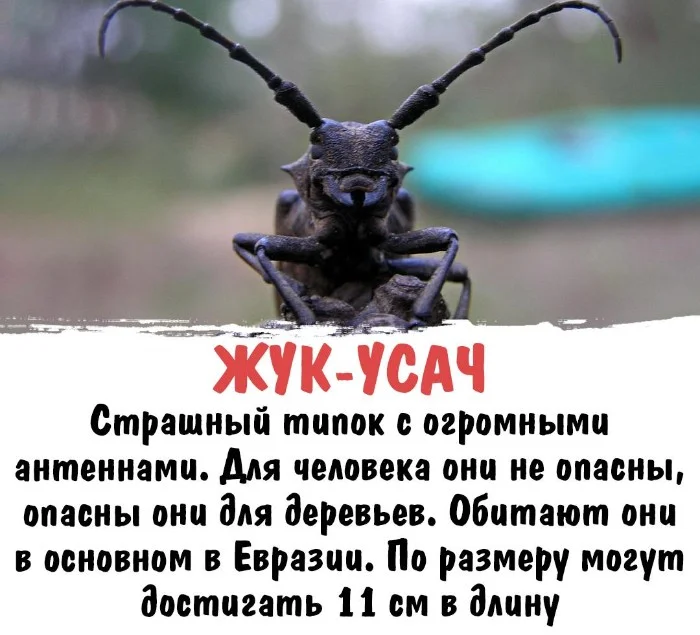 Интересная биология 30.04.2025