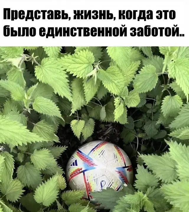 Смешные картинки - 06.05.2025