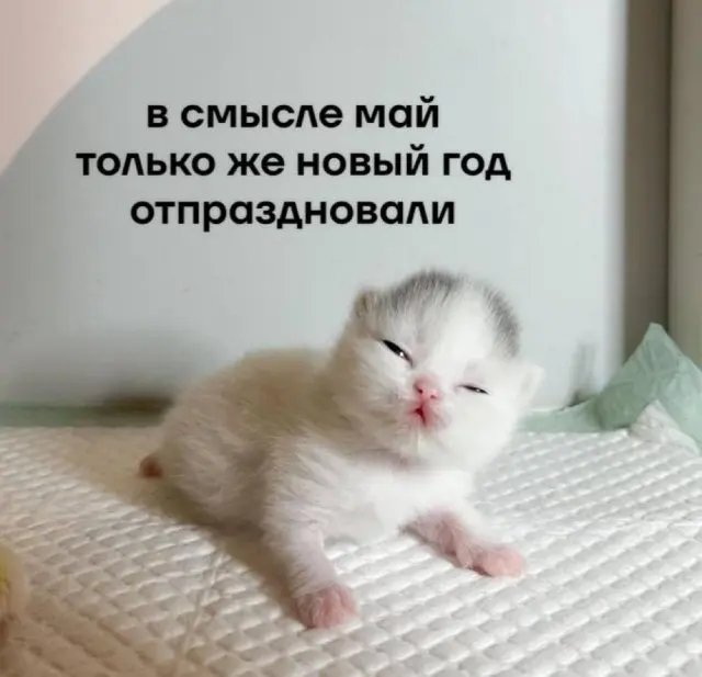 Смешные картинки - 07.05.2025