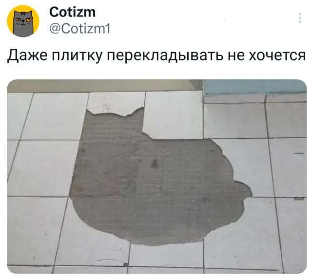 Подборка забавных твитов обо всем 12.05.2025
