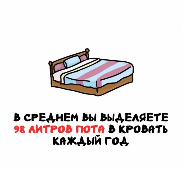 Интересные факты на все случаи жизни 14.05.2025