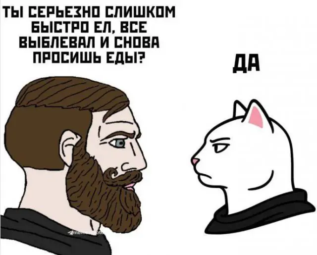 Лучшие шутки и мемы из Сети - 19.05.2025