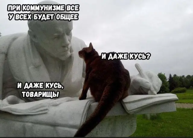 Смешные мемы - 20.05.2025