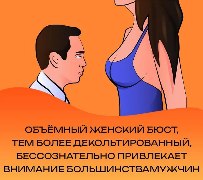 Сексуальная правда: 15 фактов, которым не научат в школе 28.05.2025