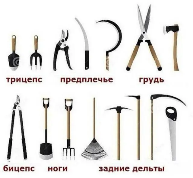 Лучшие шутки и мемы из Сети - 12.06.2025