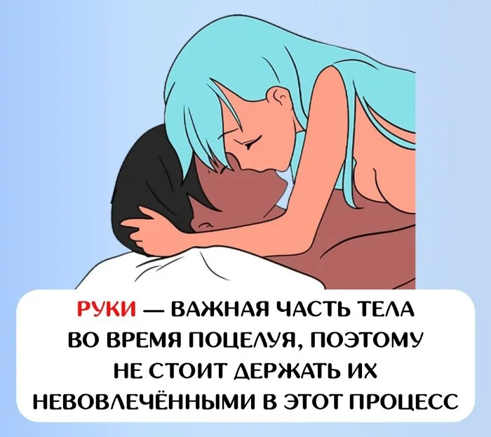 Сексуальная правда: 15 фактов, которым не научат в школе 17.06.2025