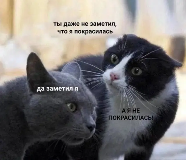Лучшие шутки и мемы из Сети - 02.07.2025