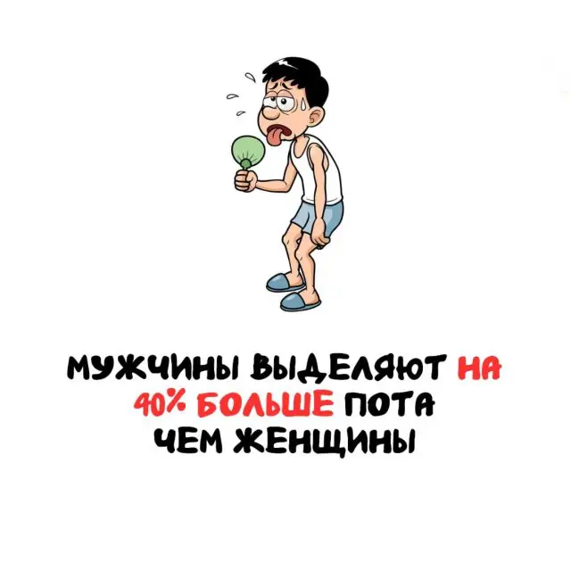 Интересные факты на все случаи жизни 04.08.2025