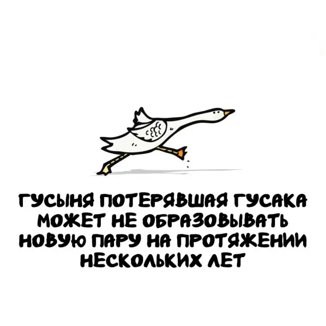 Интересные факты на все случаи жизни 20.08.2025