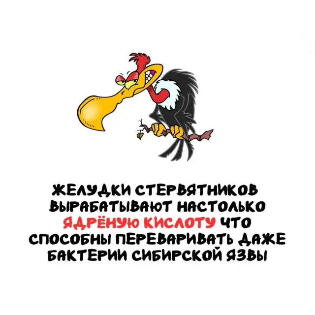 Интересные факты на все случаи жизни 25.08.2025