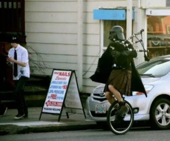 Подборка картинок 25.08.2025