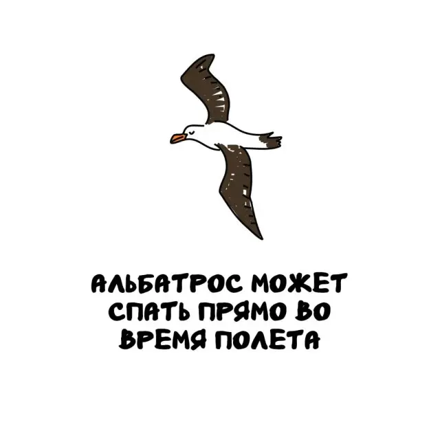 Интересные факты на все случаи жизни 03.09.2025