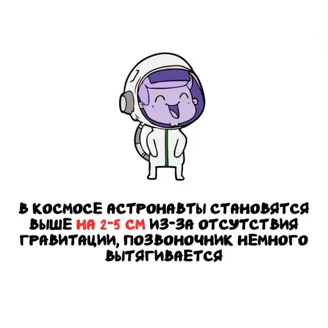 Интересные факты на все случаи жизни 15.09.2025