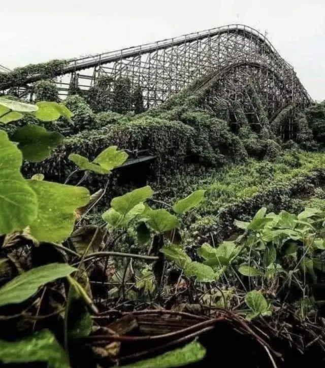 Природа всегда берет свое: подборка атмосферных заброшенных мест 18.09.2025