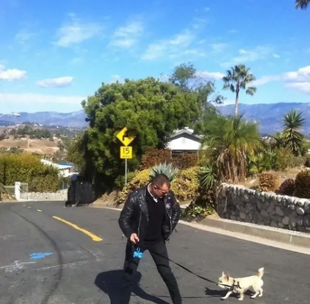 Подборка занятных фотографий из серии "показалось" 29.09.2025