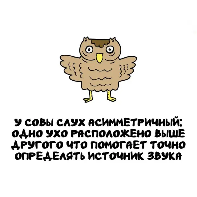 Интересные факты на все случаи жизни 29.09.2025