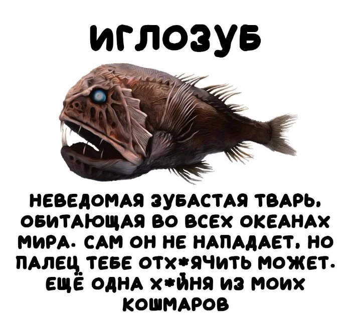 Интересная биология — удивительные факты о животных и растениях 02.09.2025