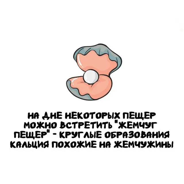 Интересные факты на все случаи жизни 06.10.2025