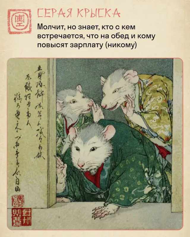 "Крысиный коллектив" в китайском стиле
