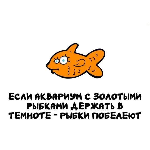 Интересные факты на все случаи жизни 27.10.2025