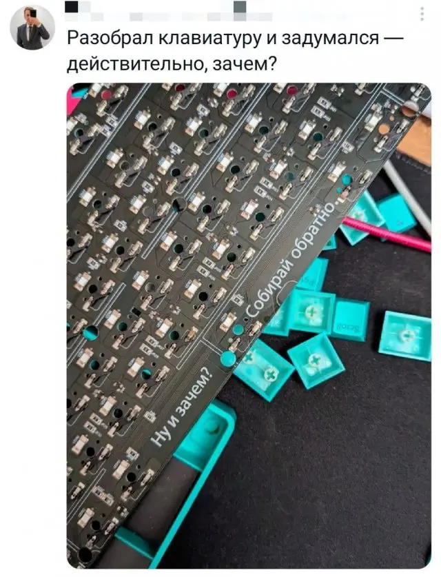 Подборка картинок 28.10.2025