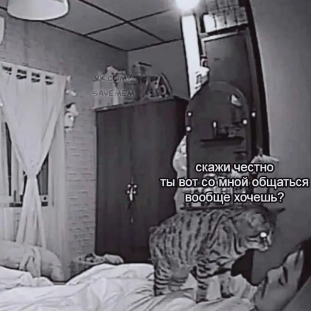 Лучшие шутки и мемы из Сети - 29.10.2025