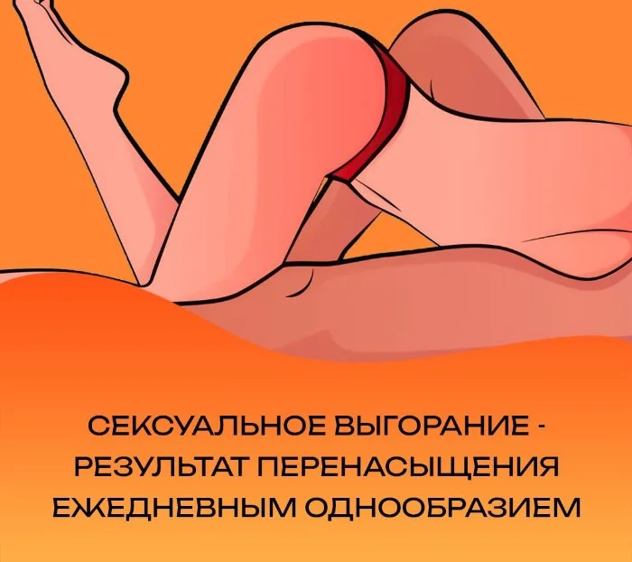 Сексуальная правда: 15 фактов, которым не научат в школе 13.10.2025