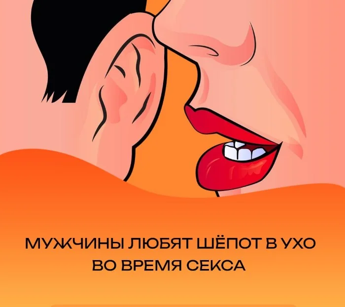 Сексуальная правда: 15 фактов, которым не научат в школе 13.10.2025