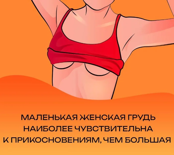 Сексуальная правда: 15 фактов, которым не научат в школе 14.10.2025