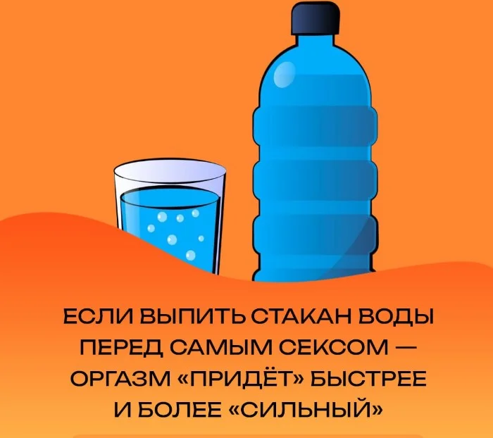 Сексуальная правда: 15 фактов, которым не научат в школе 14.10.2025