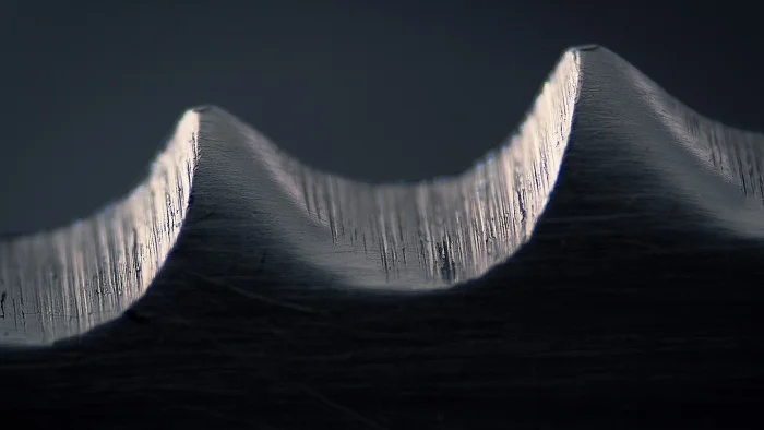 25 удивительных снимков знакомых предметов под микроскопом 28.11.2025