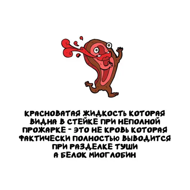 Интересные факты на все случаи жизни 03.11.2025