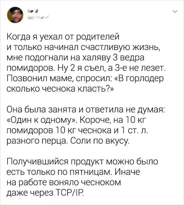 Подборка картинок 03.11.2025