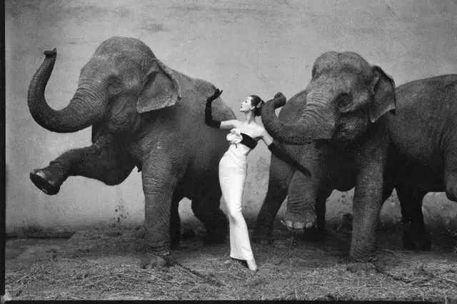 Солянка из интересных ретро-снимков  05.11.2025