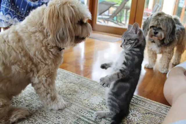 Подборка картинок 11.11.2025