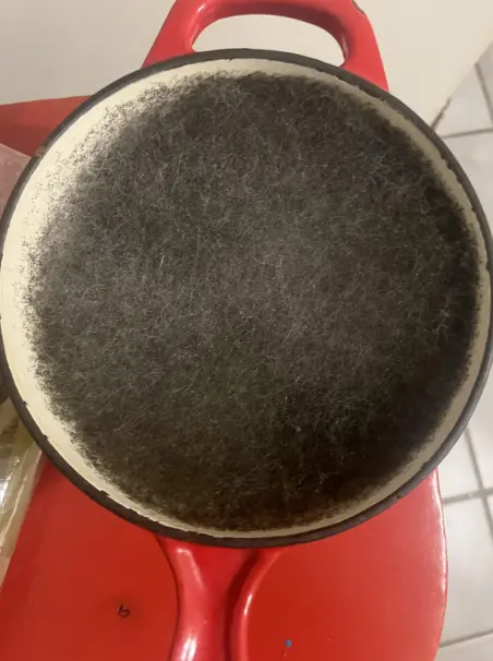 Вот что может вырасти в кастрюле за две недели