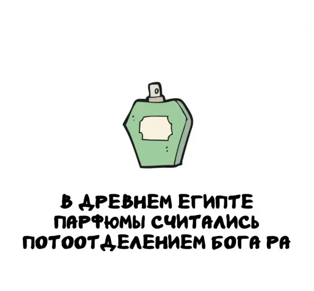 Интересные факты на все случаи жизни 17.11.2025