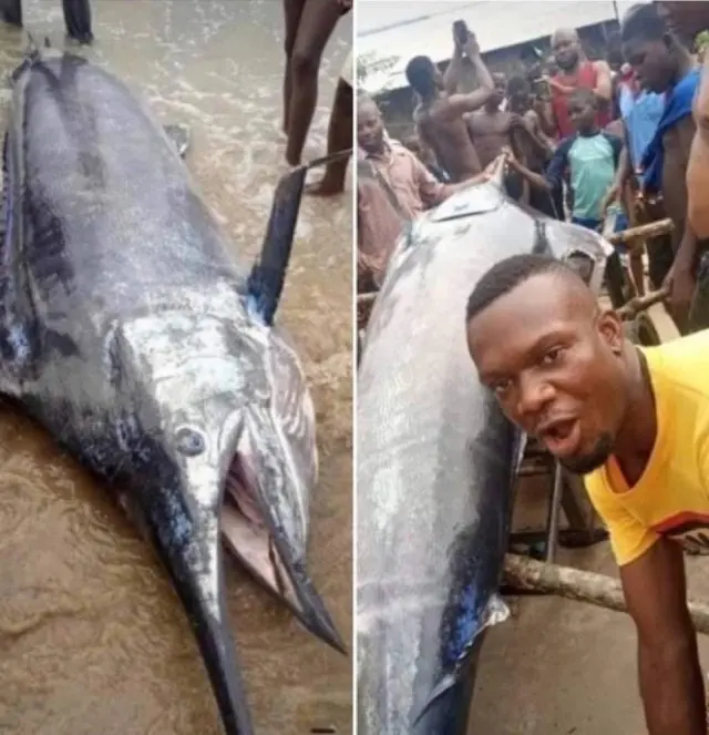 Ужин на миллионы