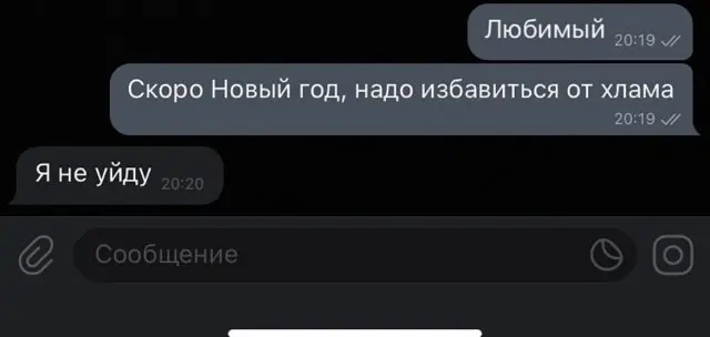 Подборка картинок 20.11.2025