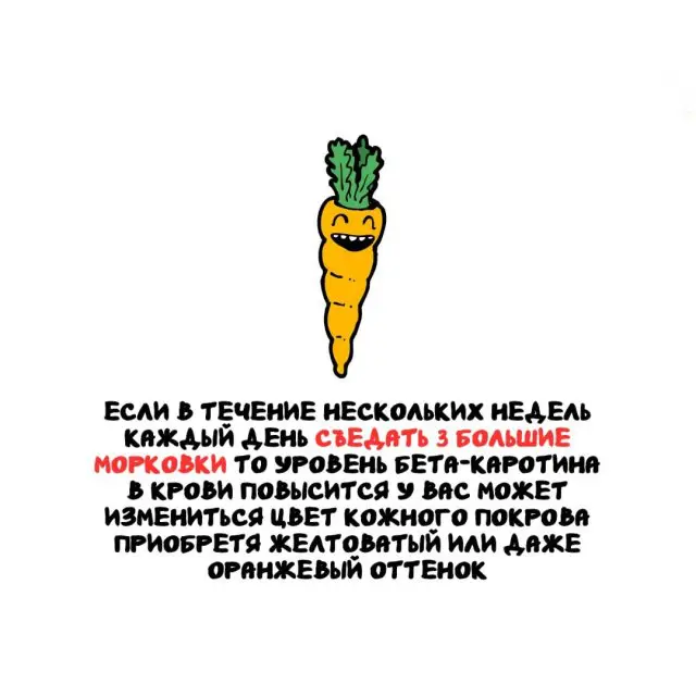 Интересные факты на все случаи жизни 28.11.2025