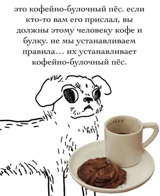 Лучшие шутки и мемы из Сети - 28.11.2025