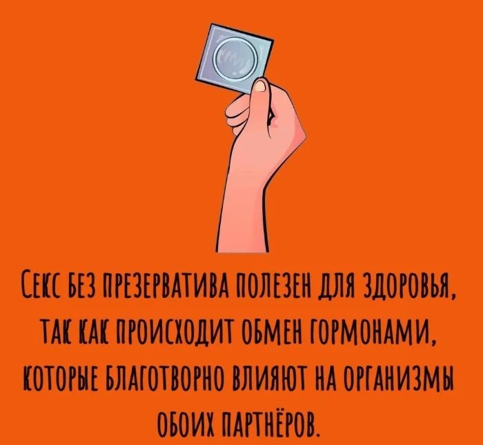 Сексуальная правда: 15 фактов, которым не научат в школе 03.11.2025