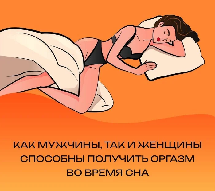 Сексуальная правда: 15 фактов, которым не научат в школе 17.11.2025