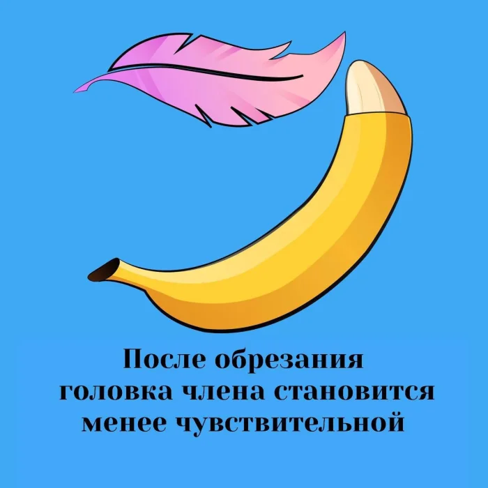 Сексуальная правда: 15 фактов, которым не научат в школе 25.11.2025