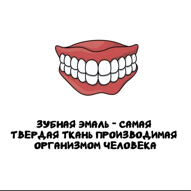 Интересные факты на все случаи жизни 01.12.2025