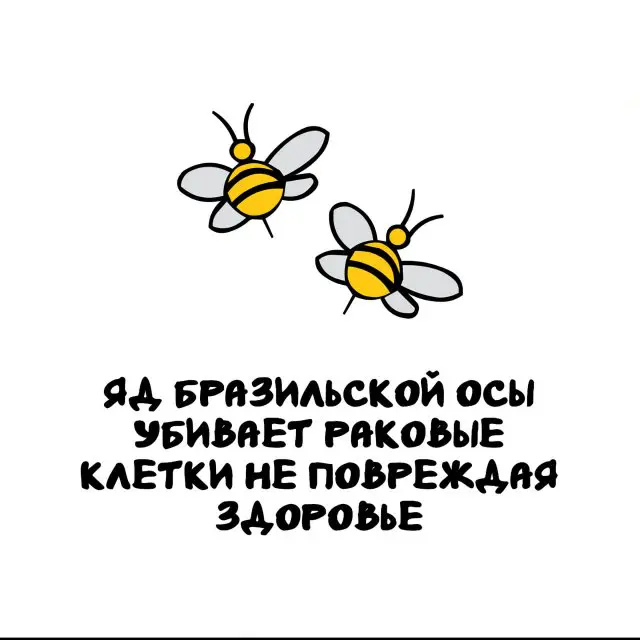 Интересные факты на все случаи жизни 08.12.2025