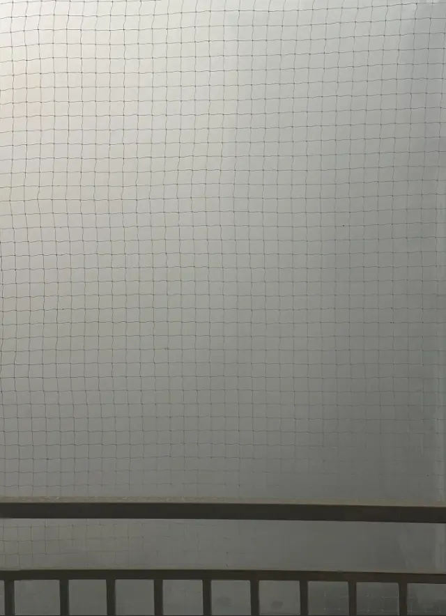 Вид с балкона в Дели